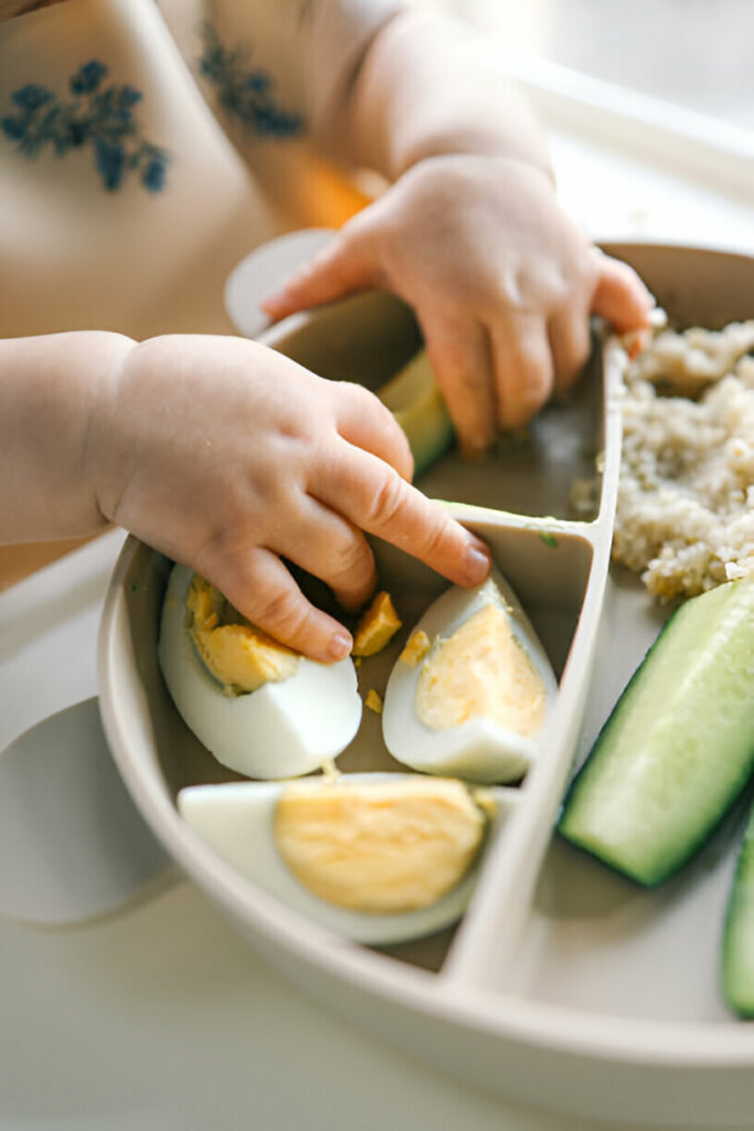 Bandeja de alimentos BLW Bandeja de alimentos BLW
